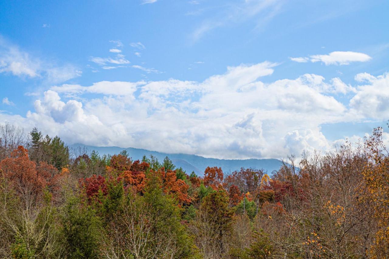 Ridge View Lodge Nature And Mountain View - Hot Tub - Firepit - Yard - Games ガトリンバーグ エクステリア 写真